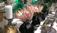 Erlebnis