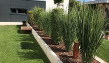 Gartengestaltung