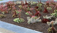Gartengestaltung