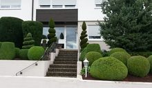 Gartengestaltung
