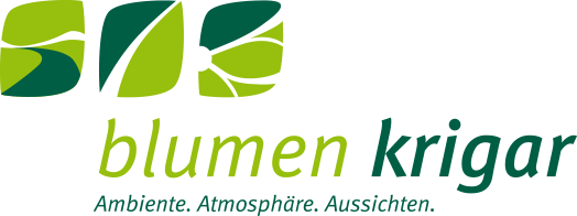 Blumen Krigar - Ambiente. Atmosphäre. Aussichten.